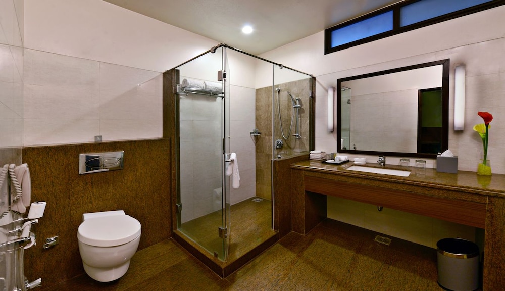 Leisure Inn Grand Chanakya 9/37