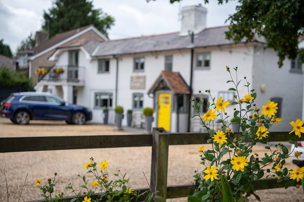 Cottage Lodge Hotel 39/50