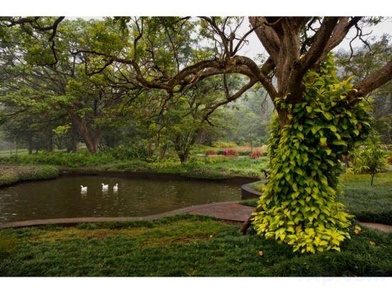 ama Stays & Sluice House Lonavala 27/38