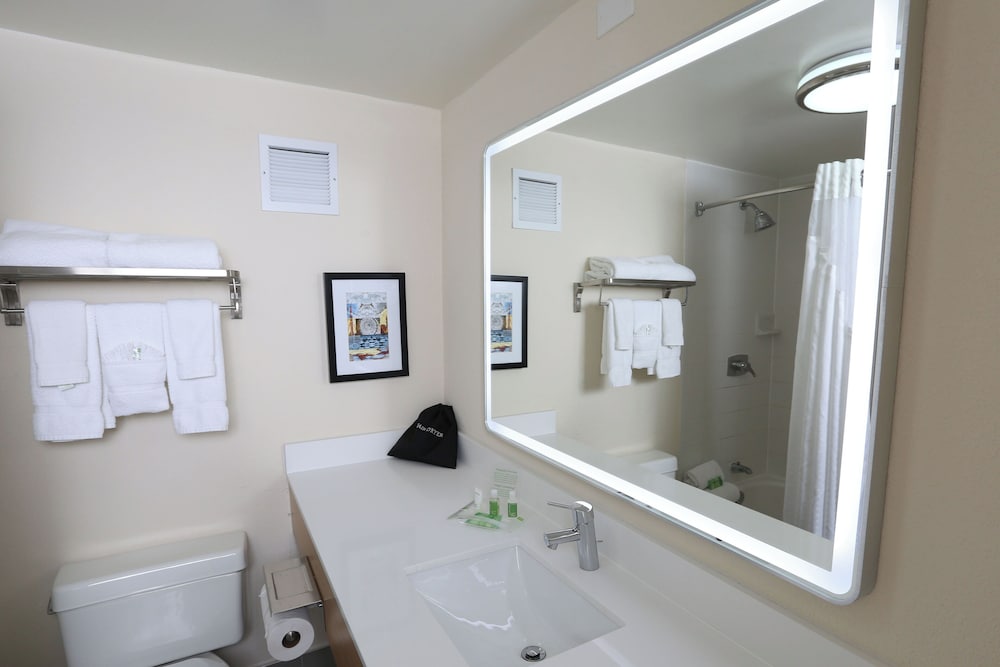 غرفة بريميوم بسرير كينج، Holiday Inn & Suites Chicago North Shore (Skokie) 6/6