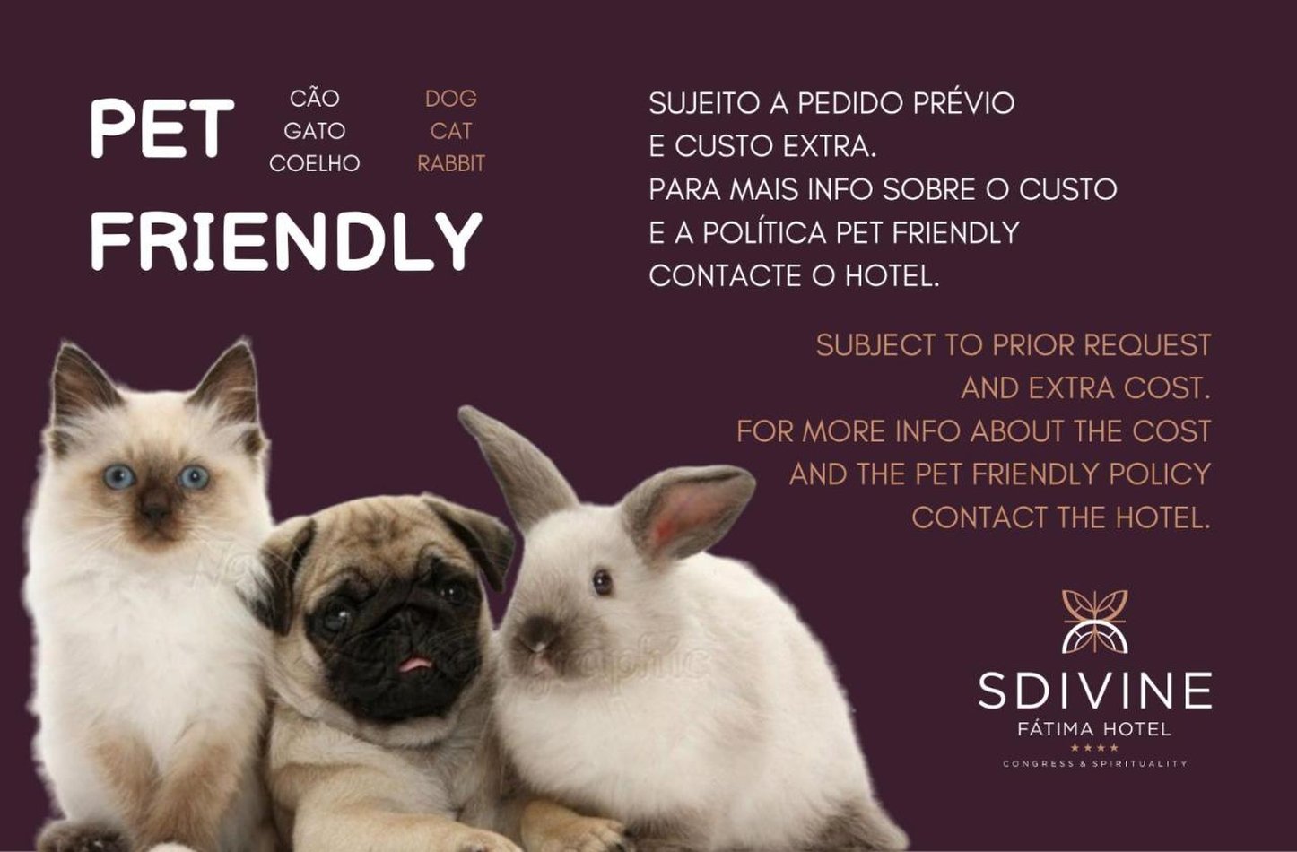 Sdivine Fatima Hotel Congress Spirituality 26/46