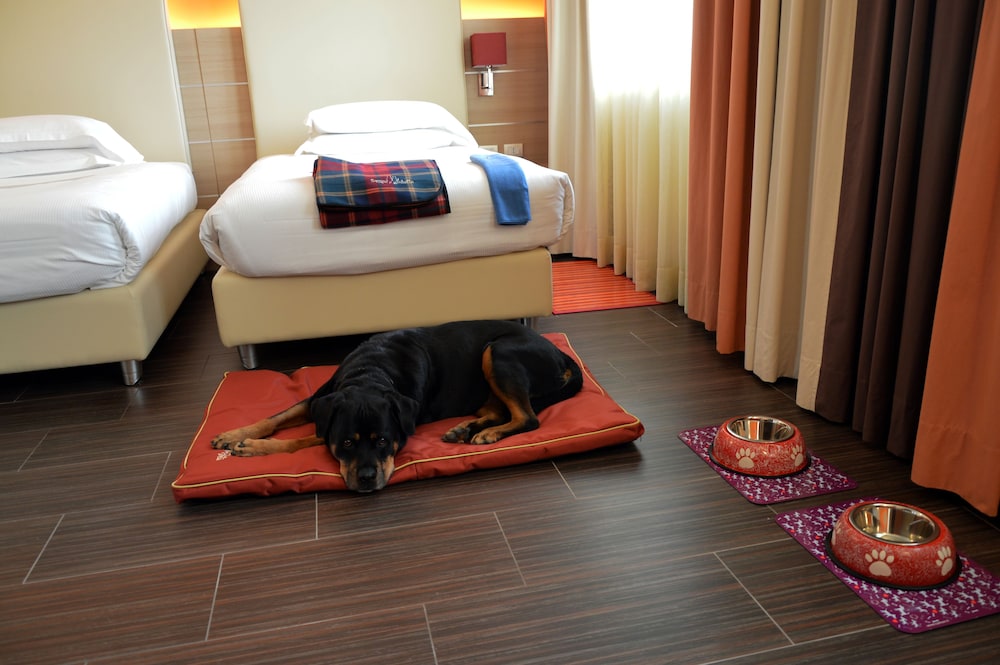 Best Western Plus Soave Hotel 38/74