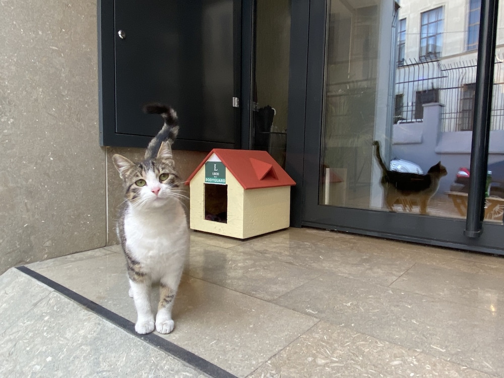 Hotel Liberi Taksim 37/50
