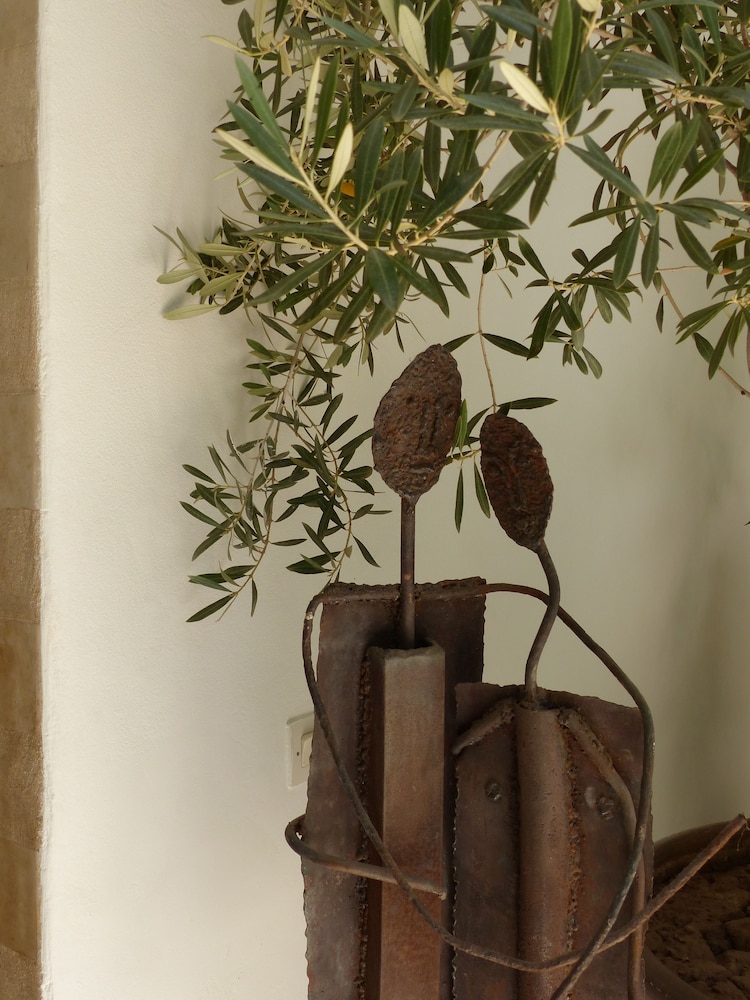 Riad Magellan 32/65