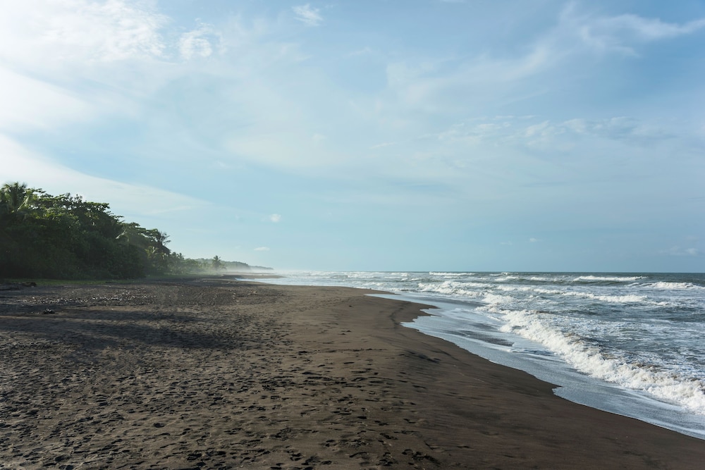 Laguna Lodge Tortuguero 54/67