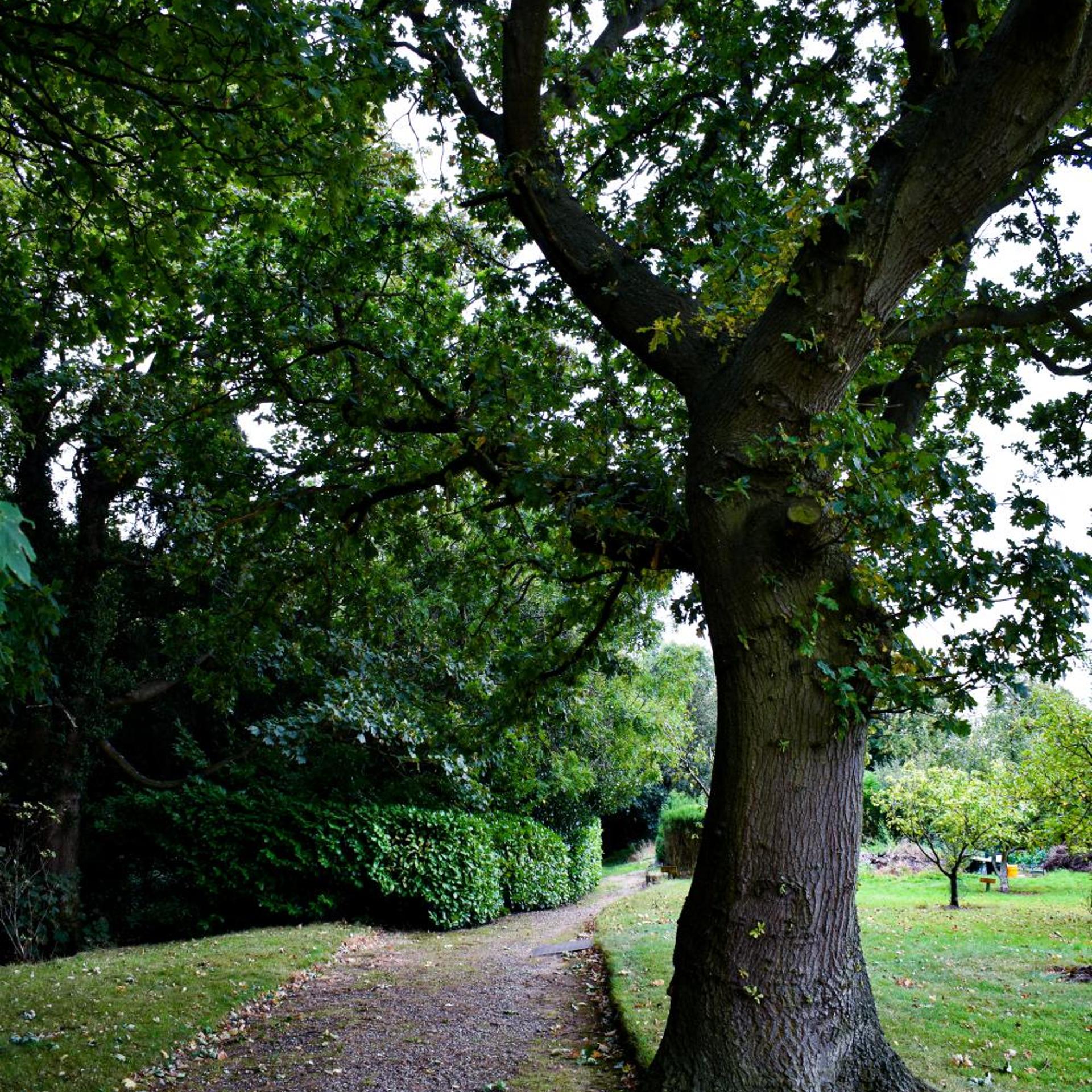 Dovecliff Hall Hotel 52/58