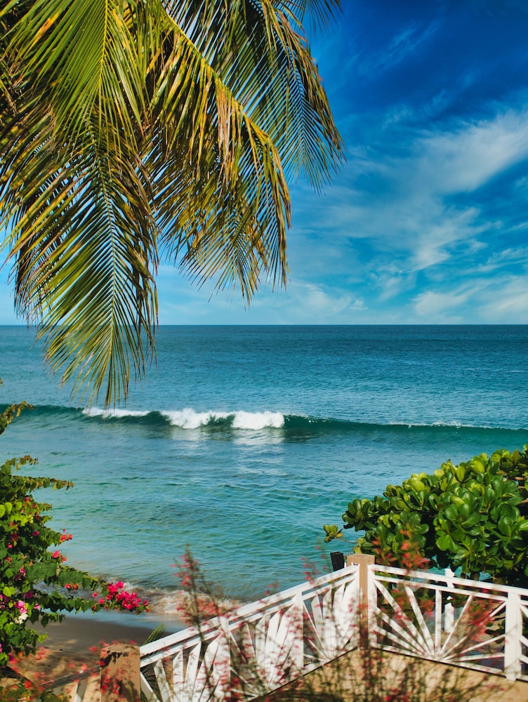 Tropikist Beach Hotel & Resort 54/65