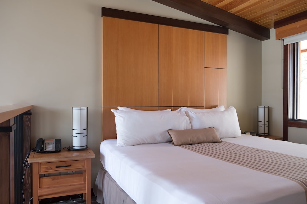 Sunshine Mountain Lodge - Superior Room 8/61