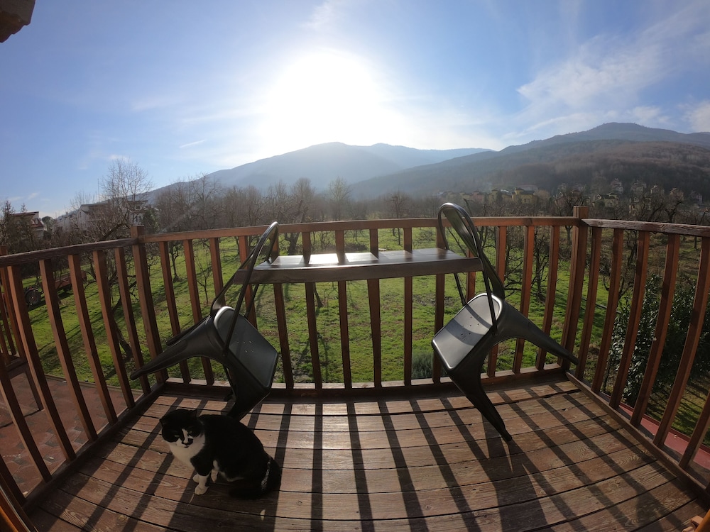 Cevizdibi Butik Otel 27/50