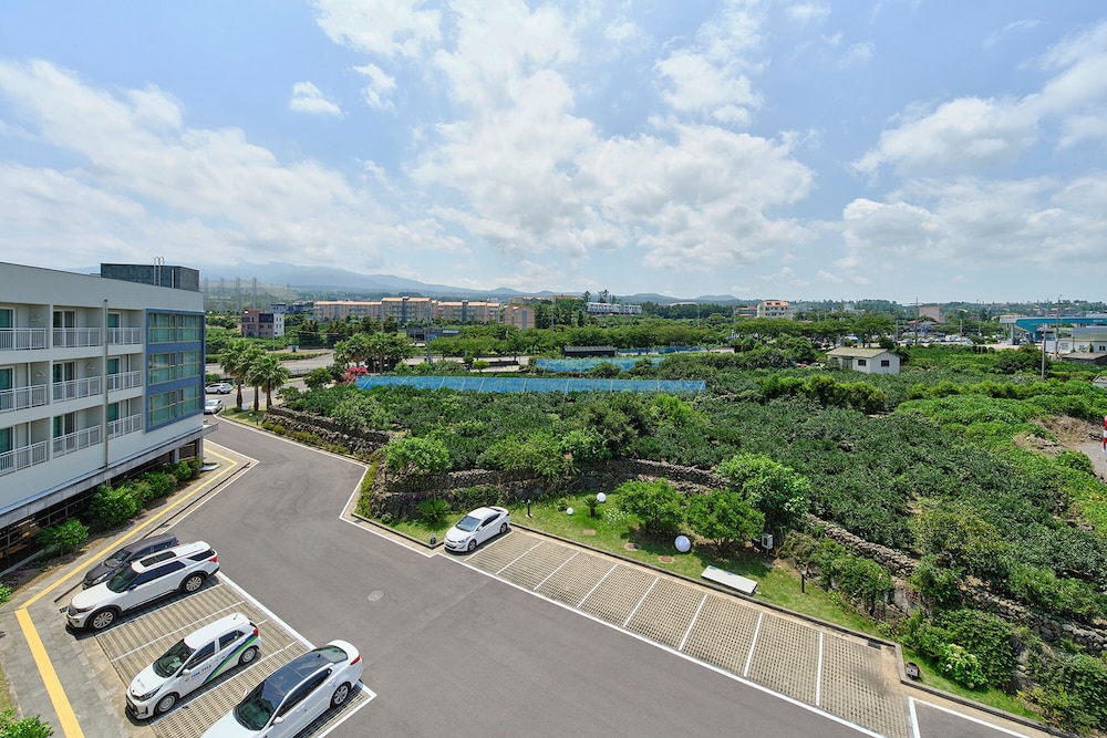 Shin Shin Hotel Jeju City 11/60