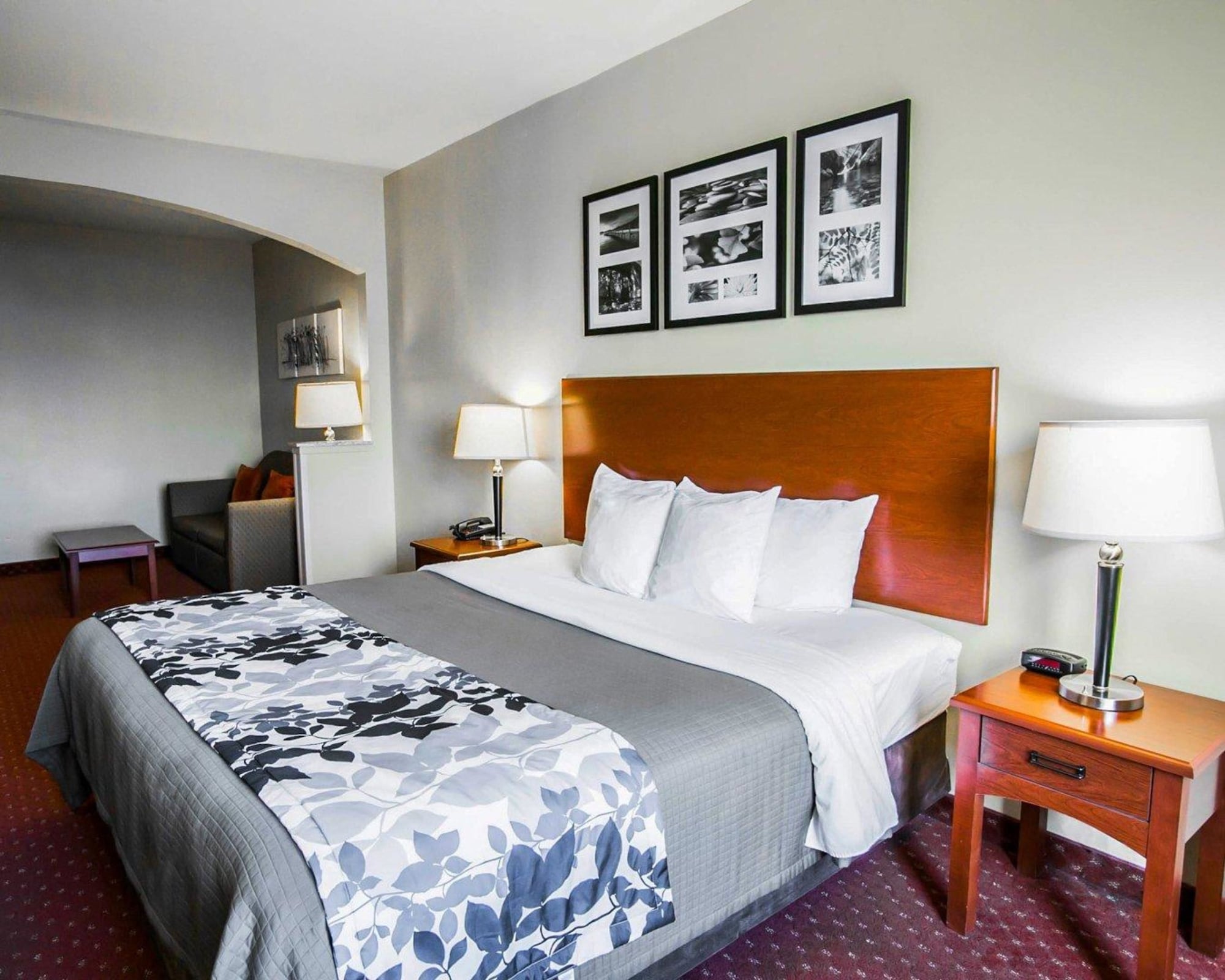 SUITE, KING BED