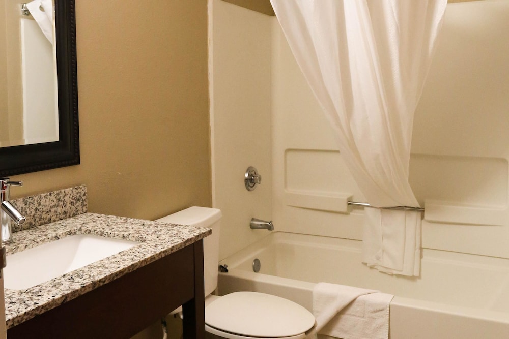 Econo Lodge Inn Suites Greenville 13/69