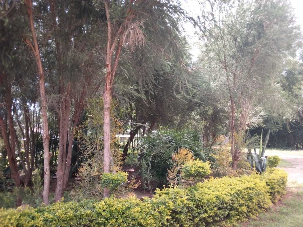 Spice Garden 23/32