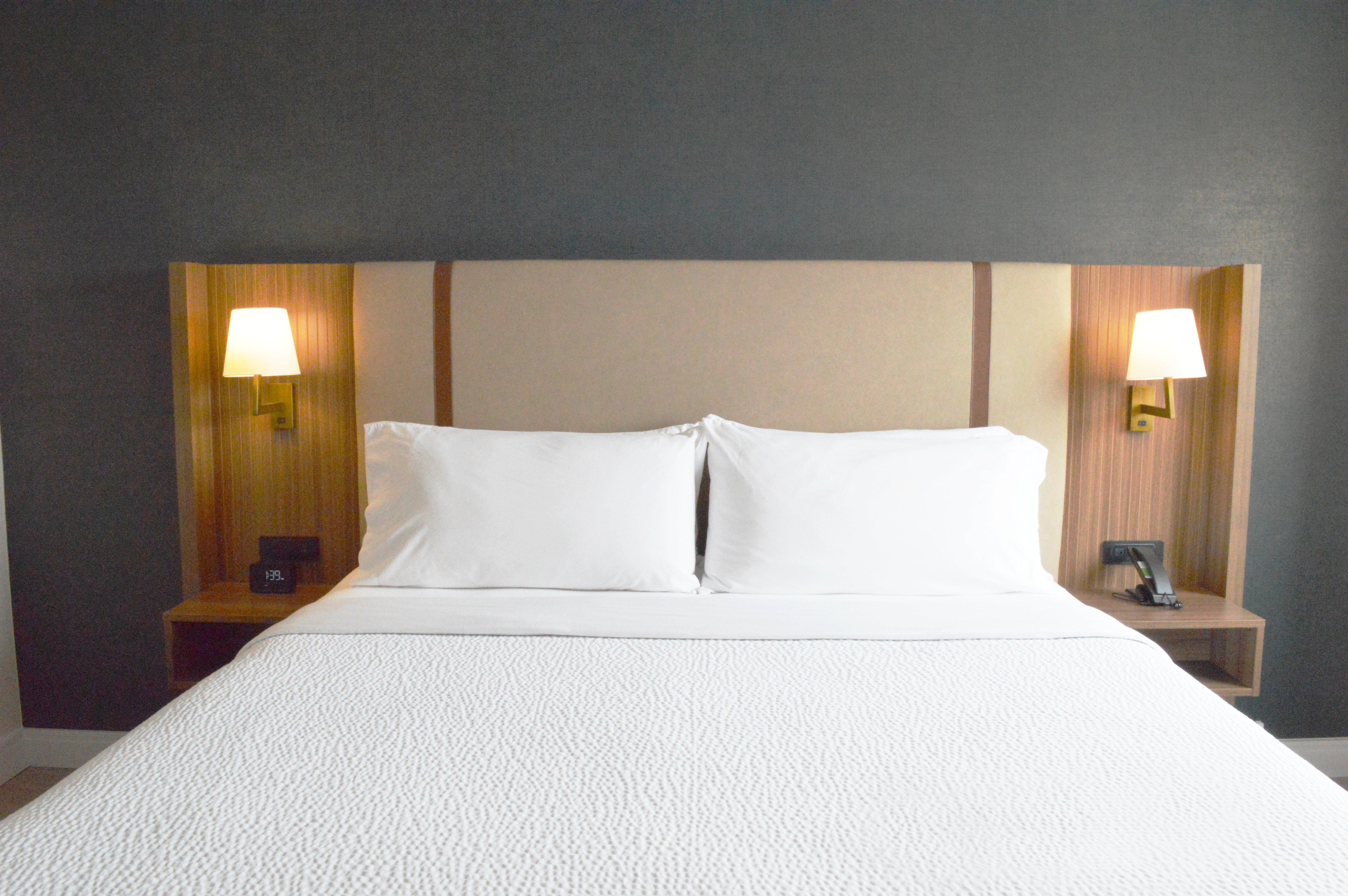 Holiday Inn Hotel And Suites Winnipeg Downtown 39/78