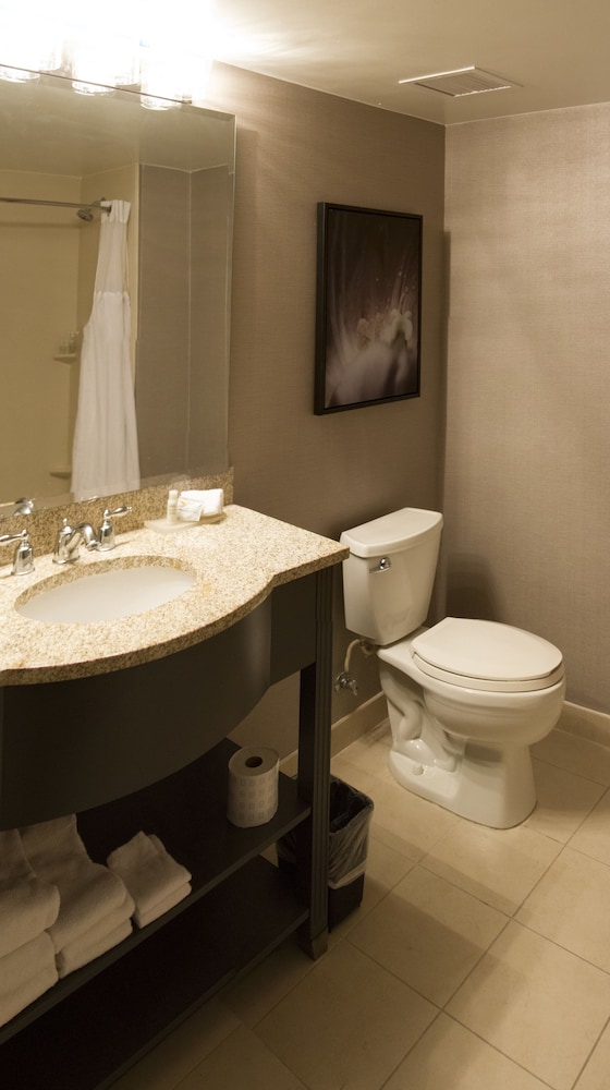 Tryp By Wyndham Savannah 22/60