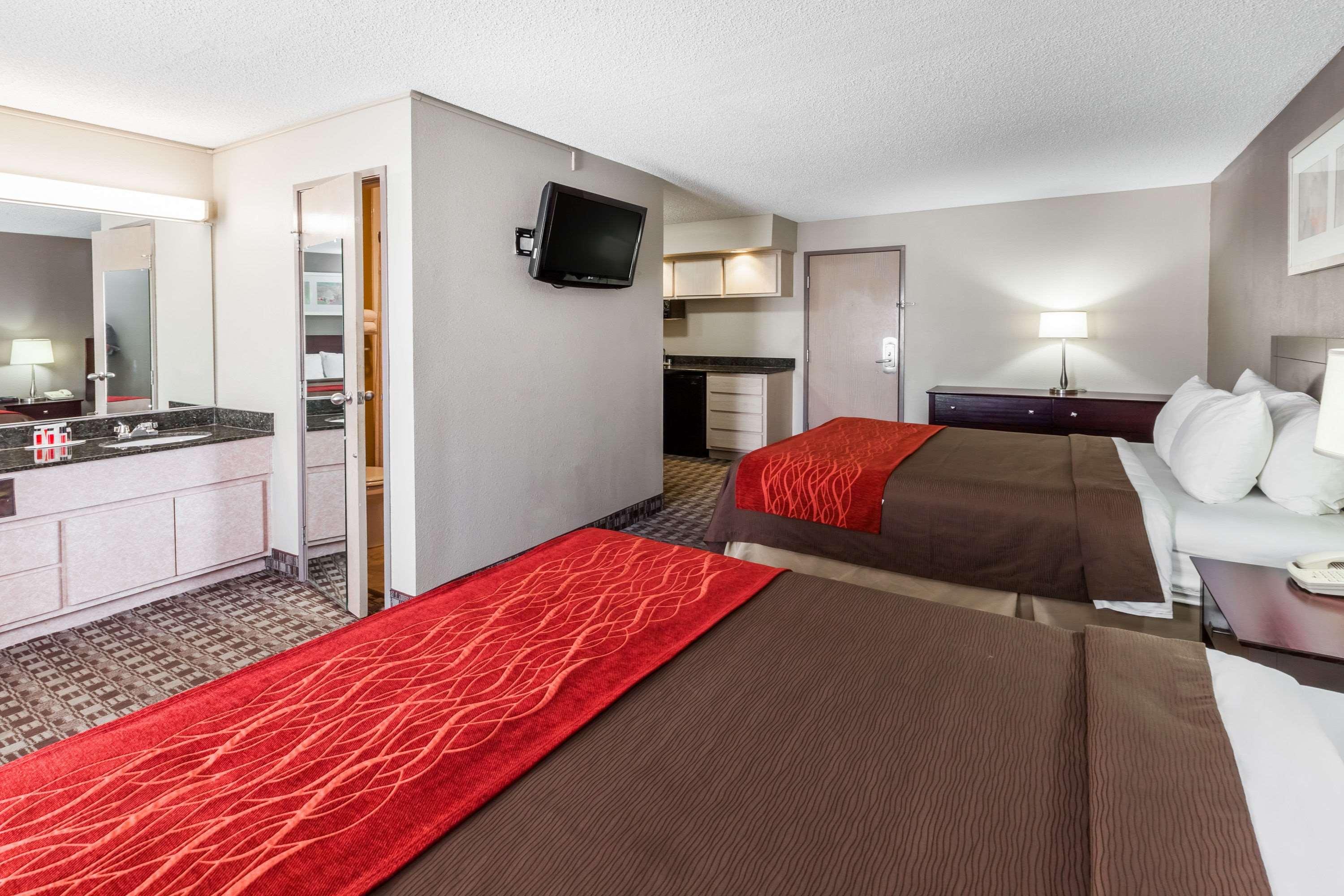 Suite, Queen Bed