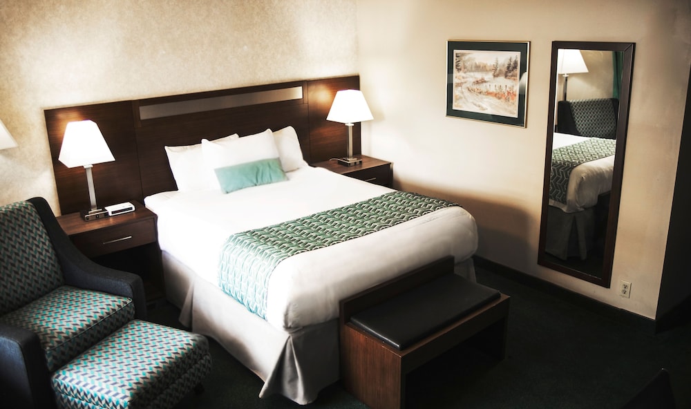 Efficiency, Deluxe, Queen Bed