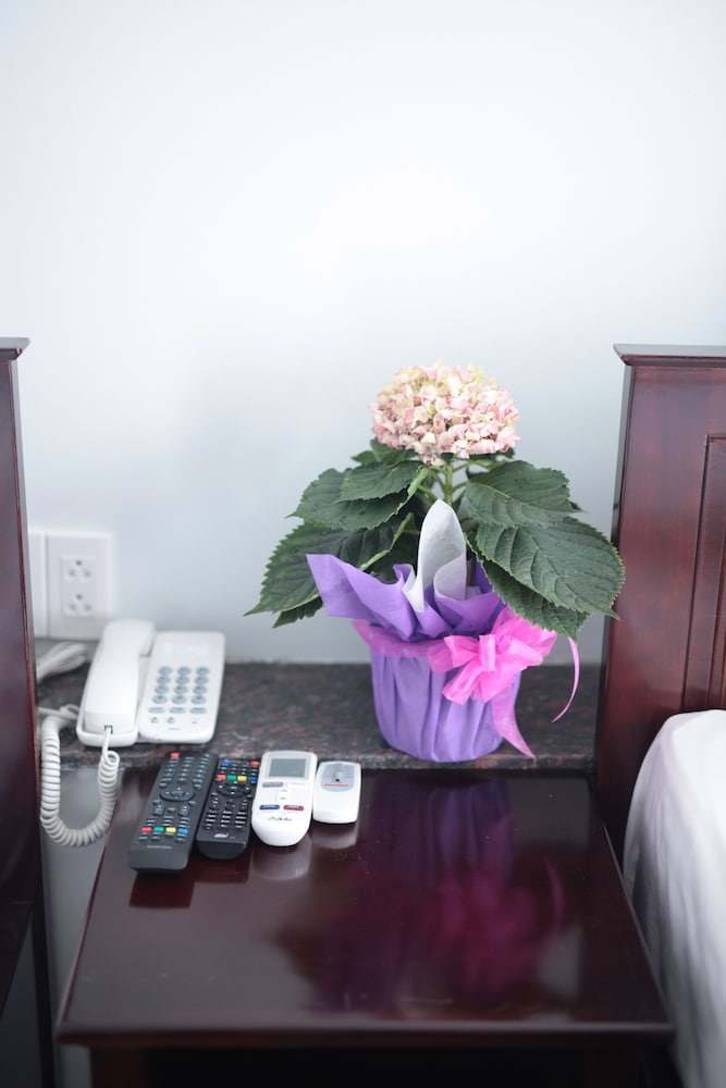 Gia Hoa Airport Hotel 41/50