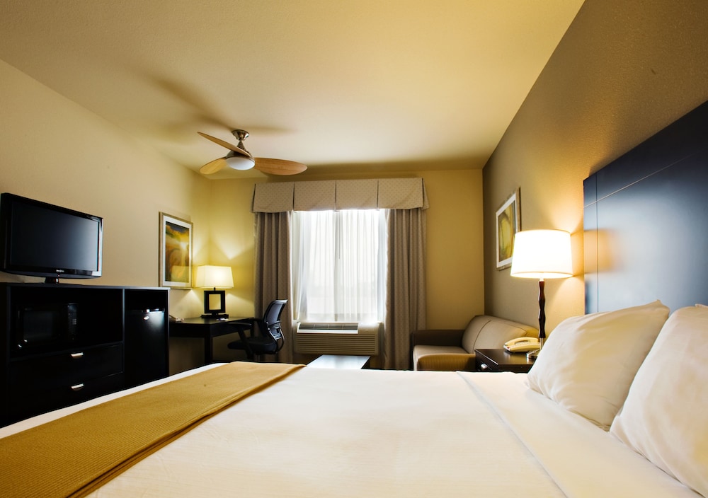 Holiday Inn Express Hotel & Suites Shamrock North 12/39