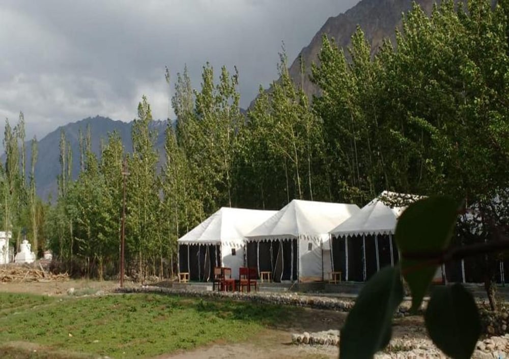 Ladakh Tarrain Camp 15/24