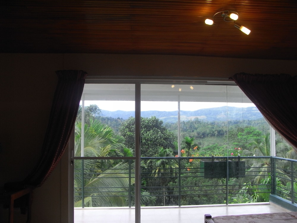 Rainforest Lodge 25/50