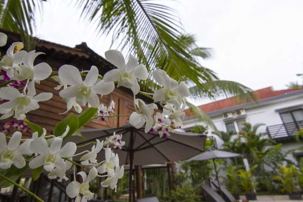 Apsara Greenland Boutique Hotel 4/50