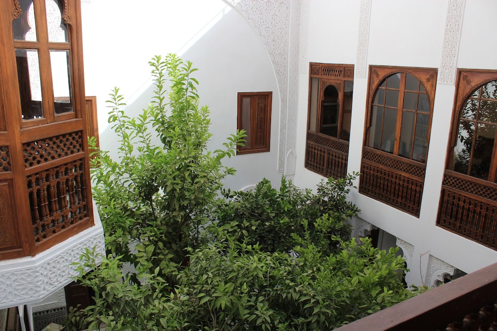 Riad Ben Youssef 4/50