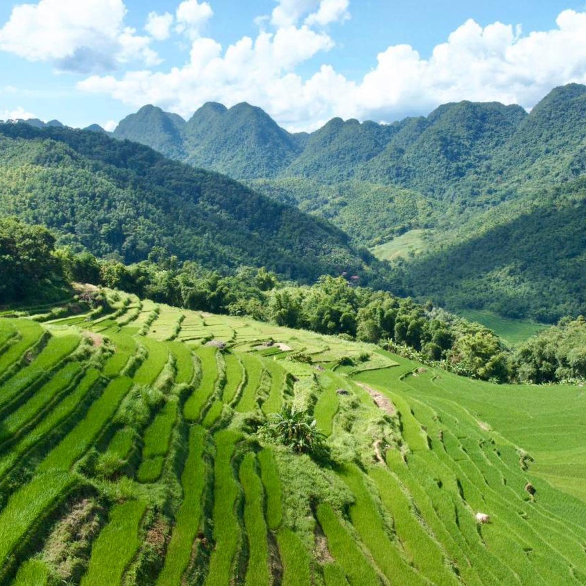 Pu Luong Eco Garden 46/50