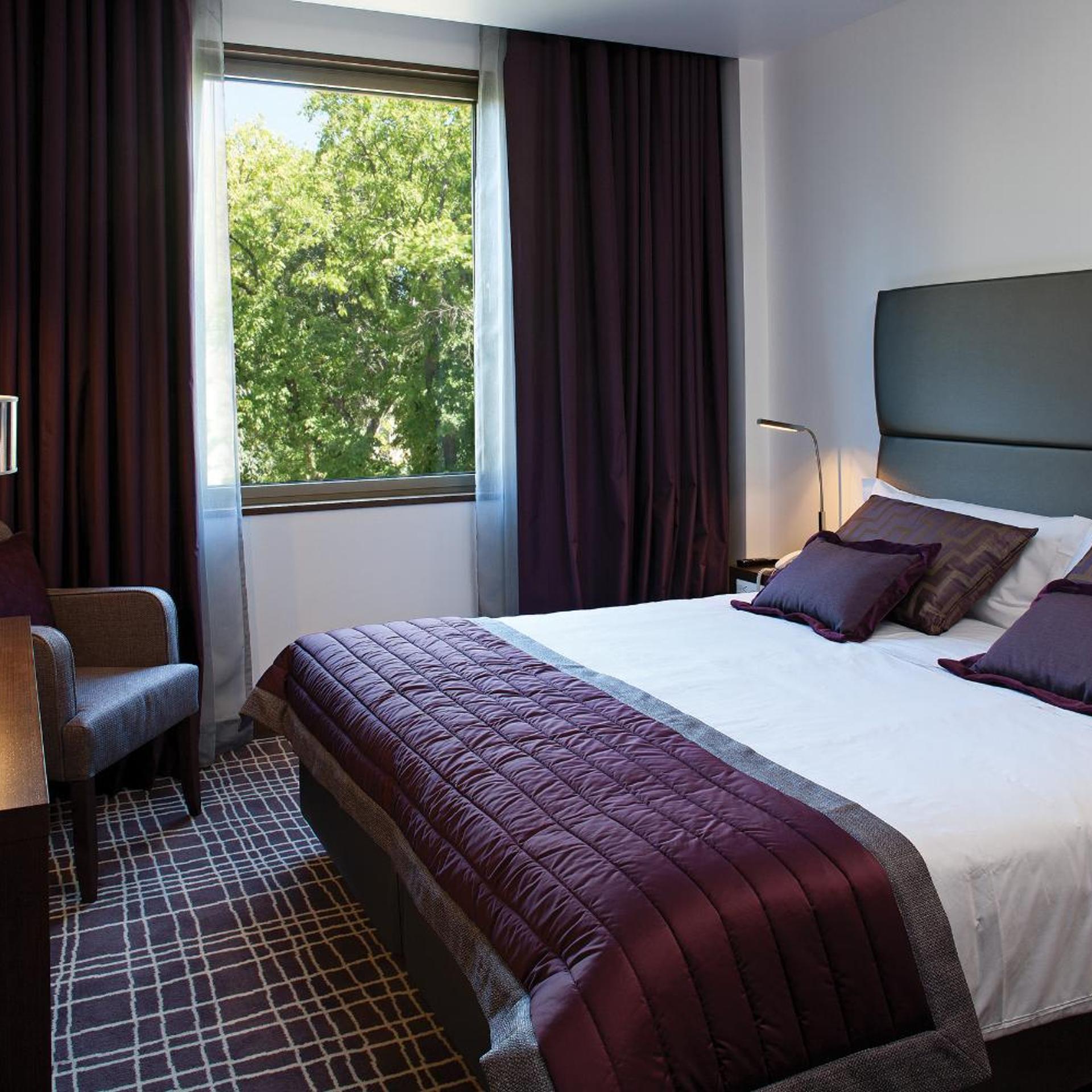Room, King Bed