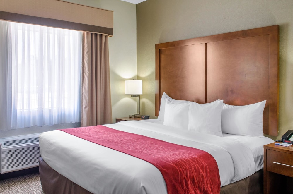 Comfort Inn & Suites Covington - Mandeville 9/32