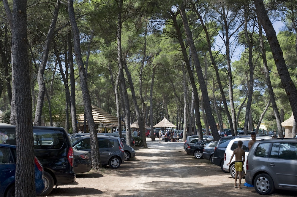Pine Beach Pakostane 41/50