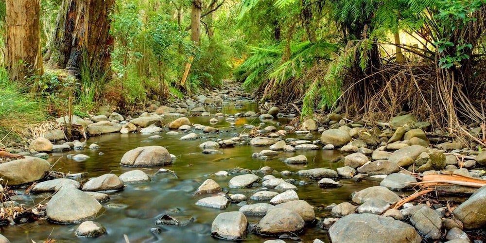 Big4 Yarra Valley Park Lane Holiday Park 43/74