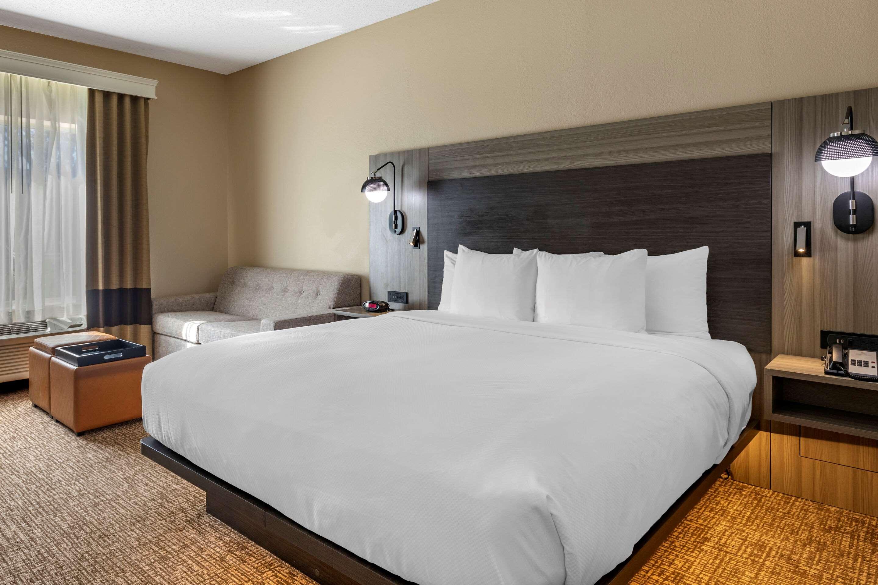 SUITE, KING BED