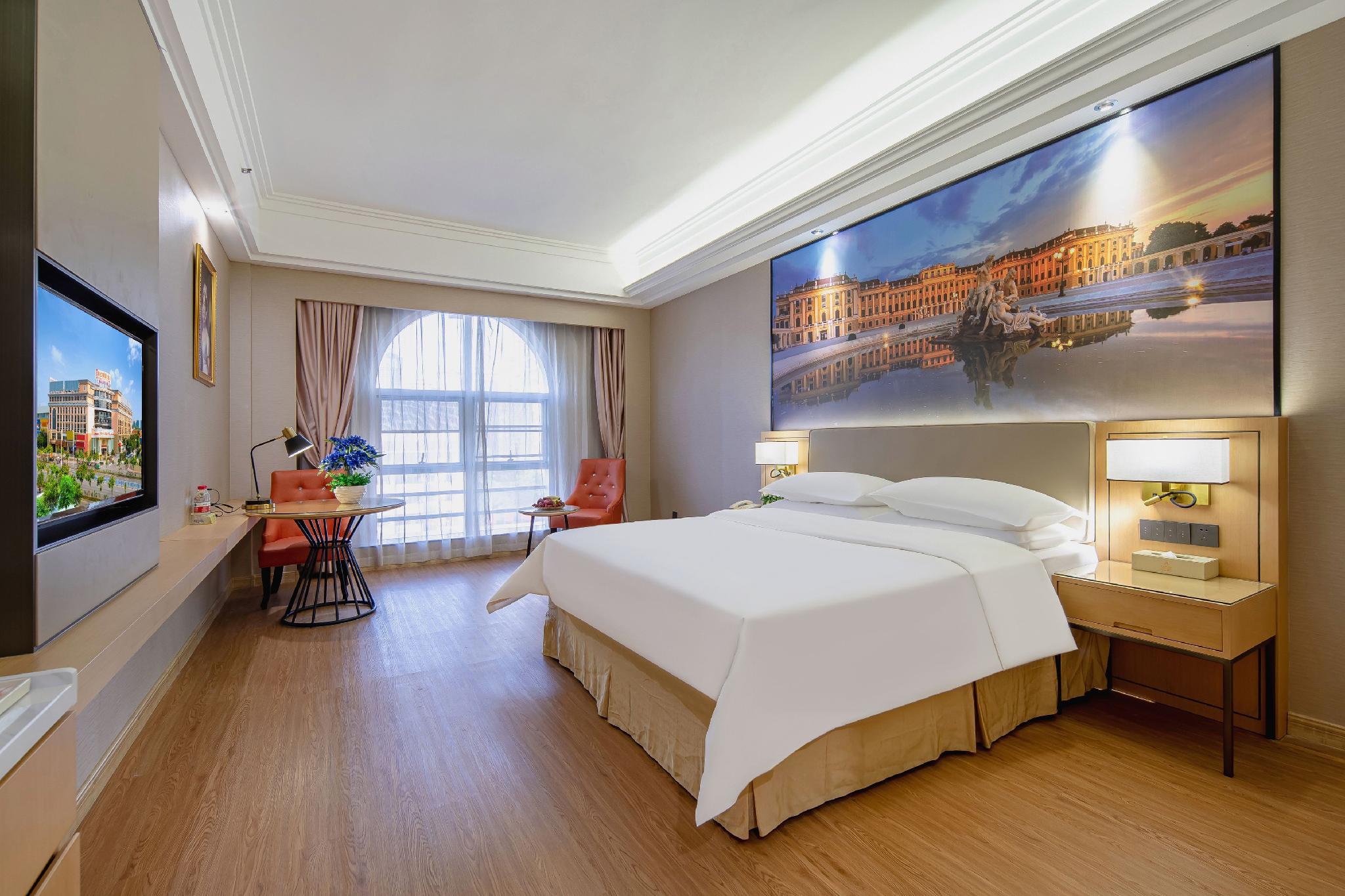 Vienna International Hotel (Nanning East Railway Station) 16/50
