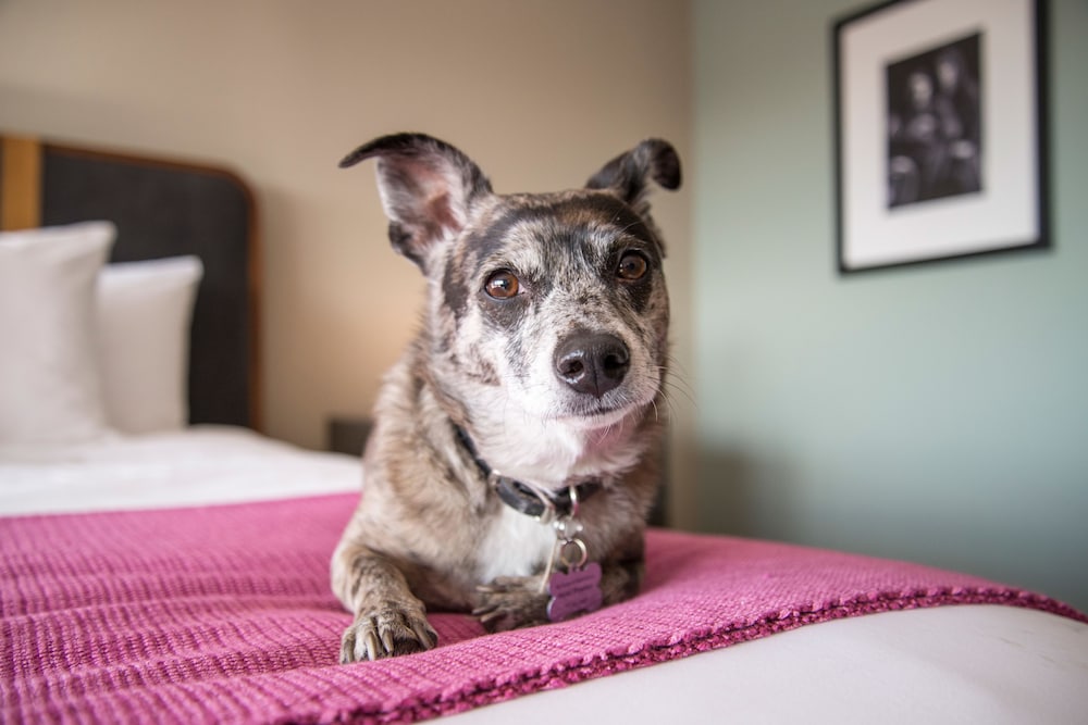 Hotel Preston Nashville Airport 34/70