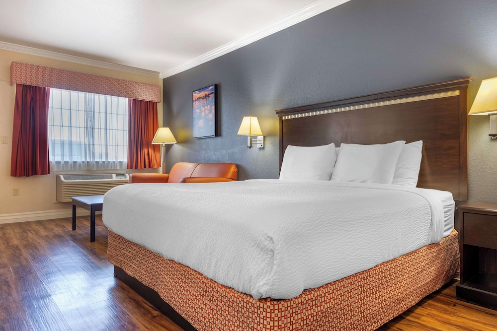Standard, King Bed, Ground Floor, Accessible