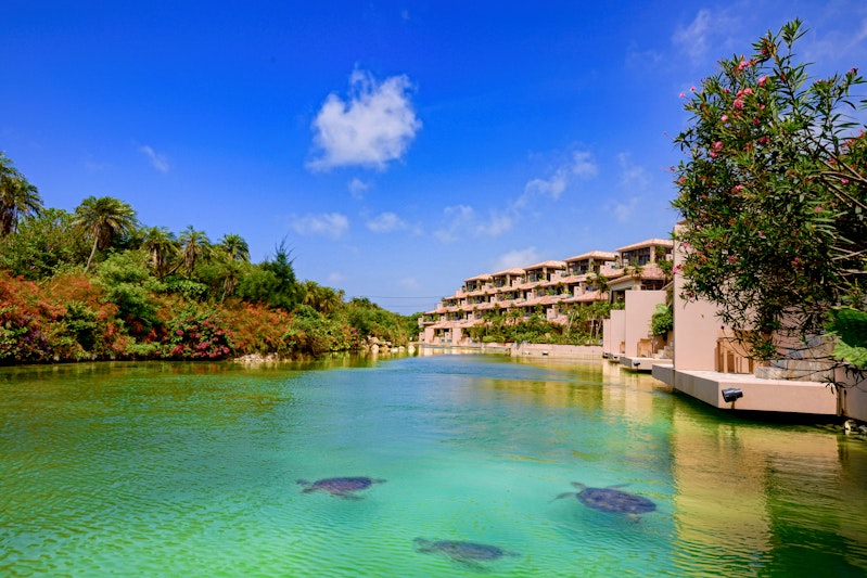SHIGIRA BAYSIDE SUITE ALLAMANDA 66/70