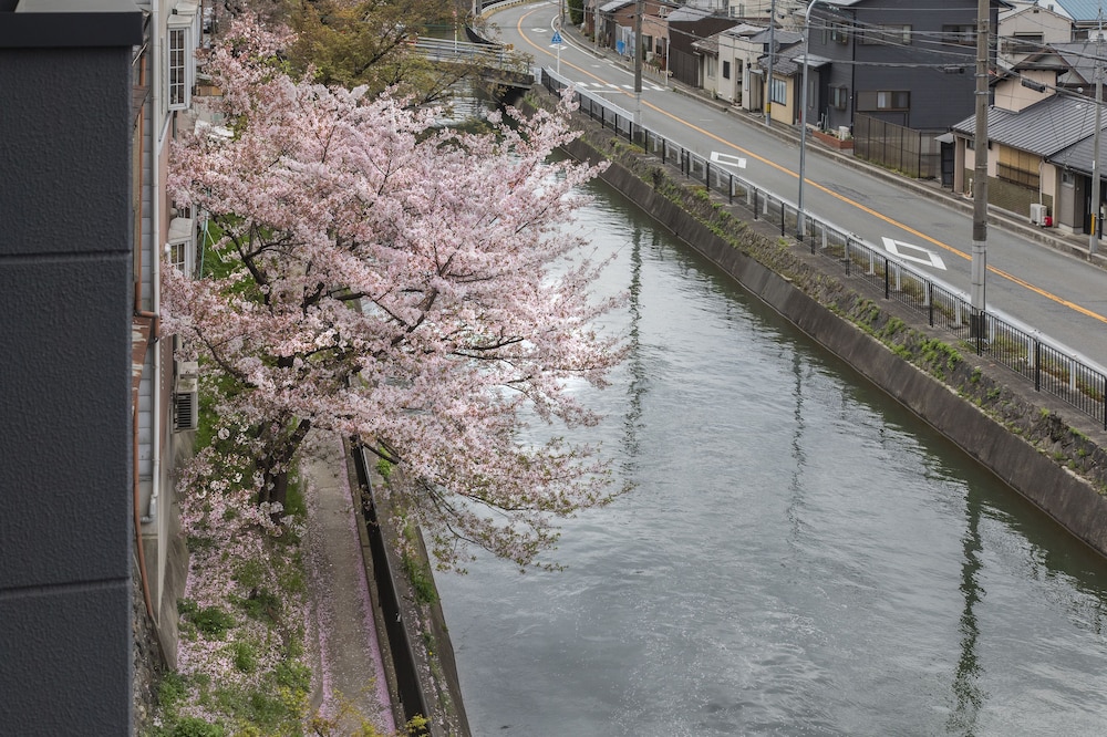 Tofukuji Riverside 22/30